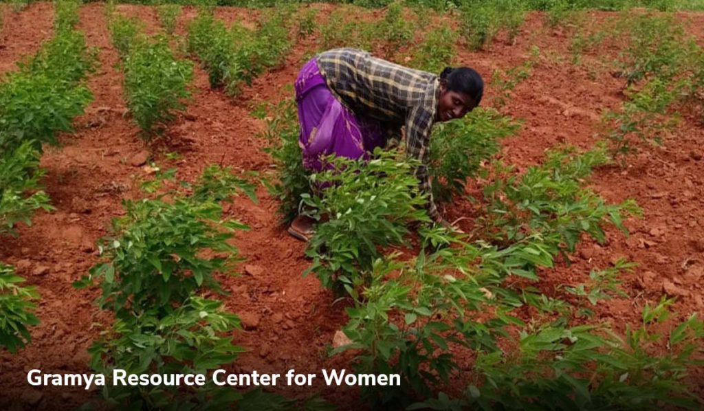 Gramya Resource Center for Women