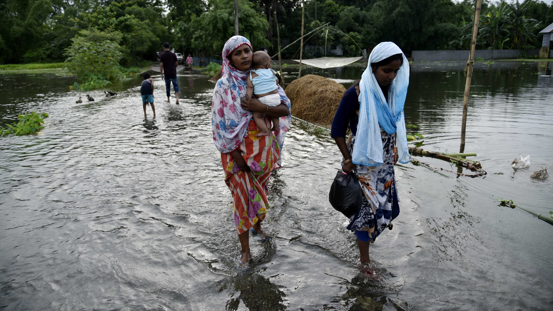 Climate change is a crisis that needs urgent action. Some NGOs are doing just that.