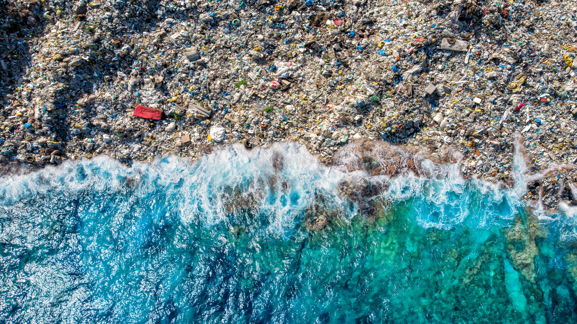 World Oceans Day: 10 ways we can stop polluting the seas