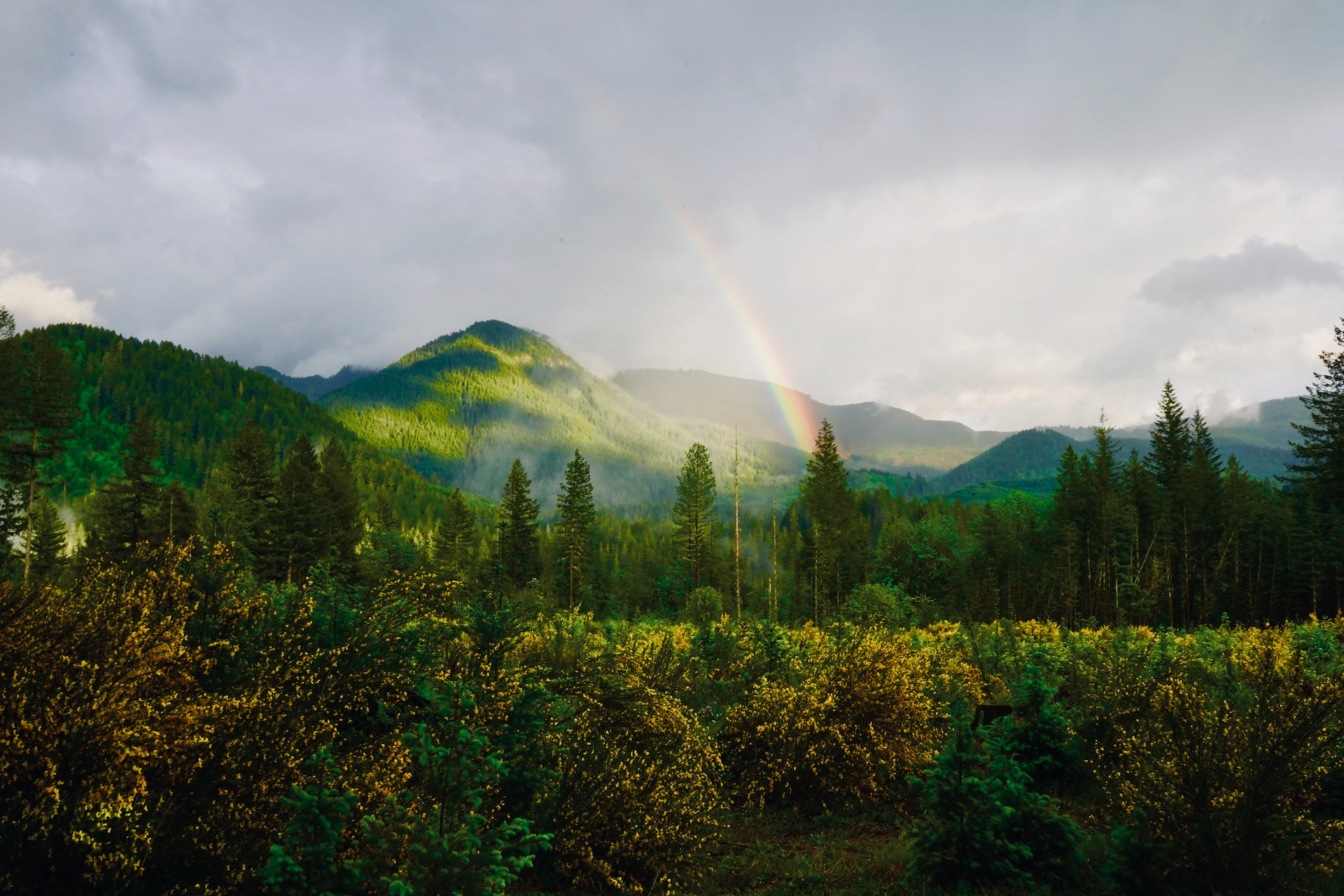 a picturesque landscape with a rainbow