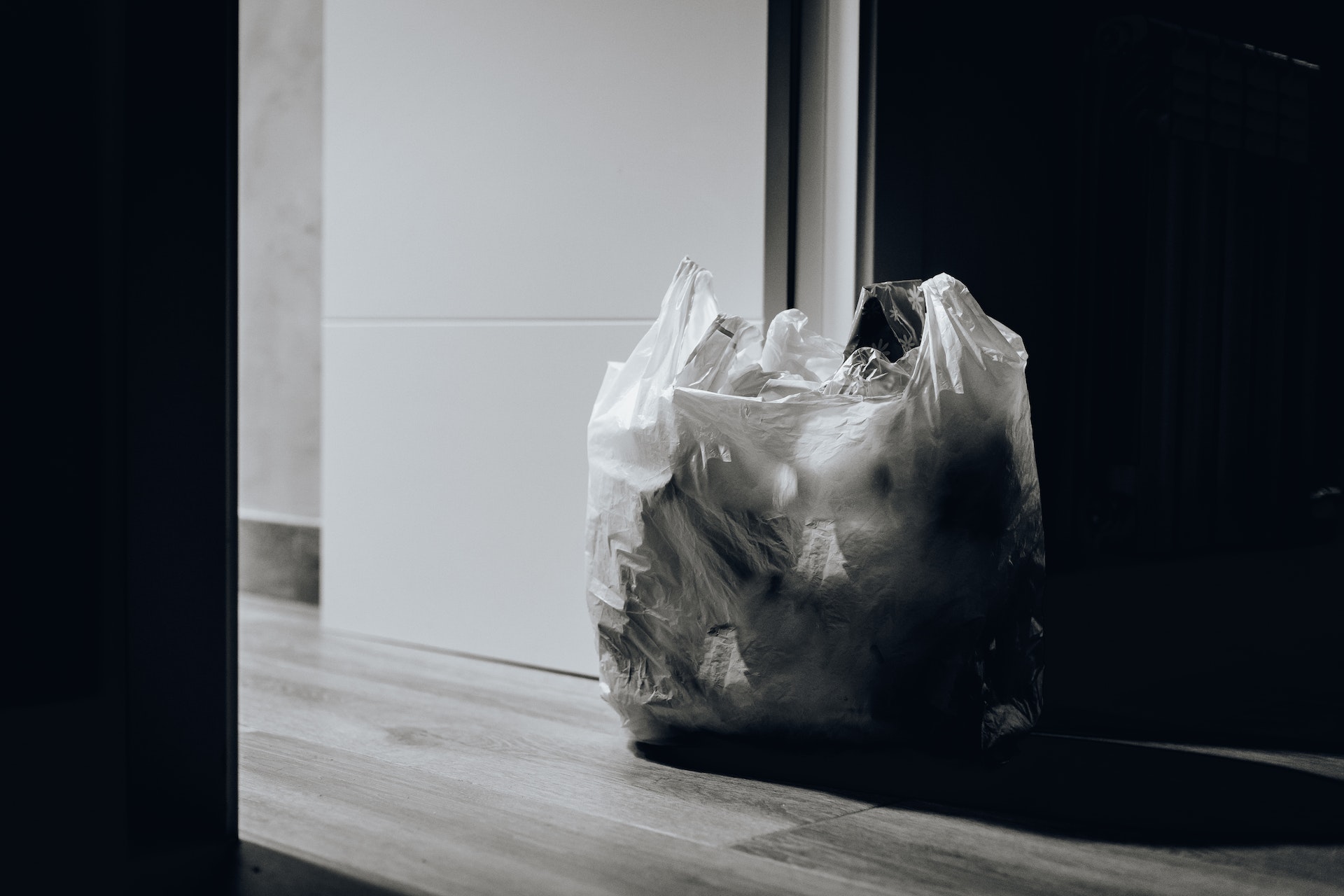 a black and white photo of a bag filled with food