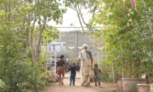 an elderly lady walking in a garden with three young children