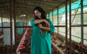 an Indian woman in a chicken coop holding a chicken