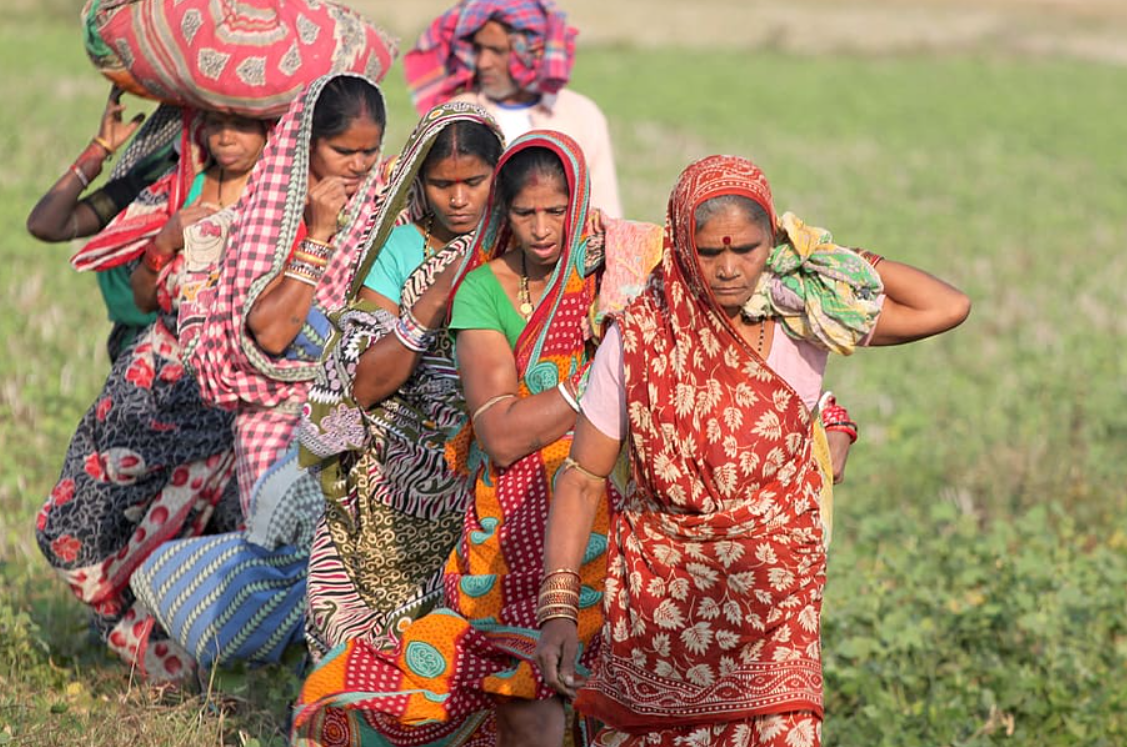 a group of rural women in a field in India