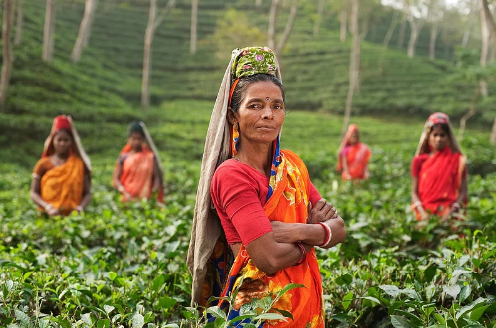 rural women in India in the fields