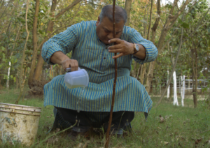 Peepal Baba planting trees