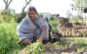 a woman farmer