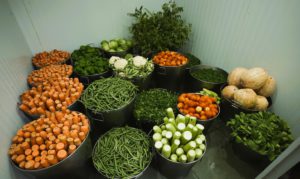 vegetables and food grains