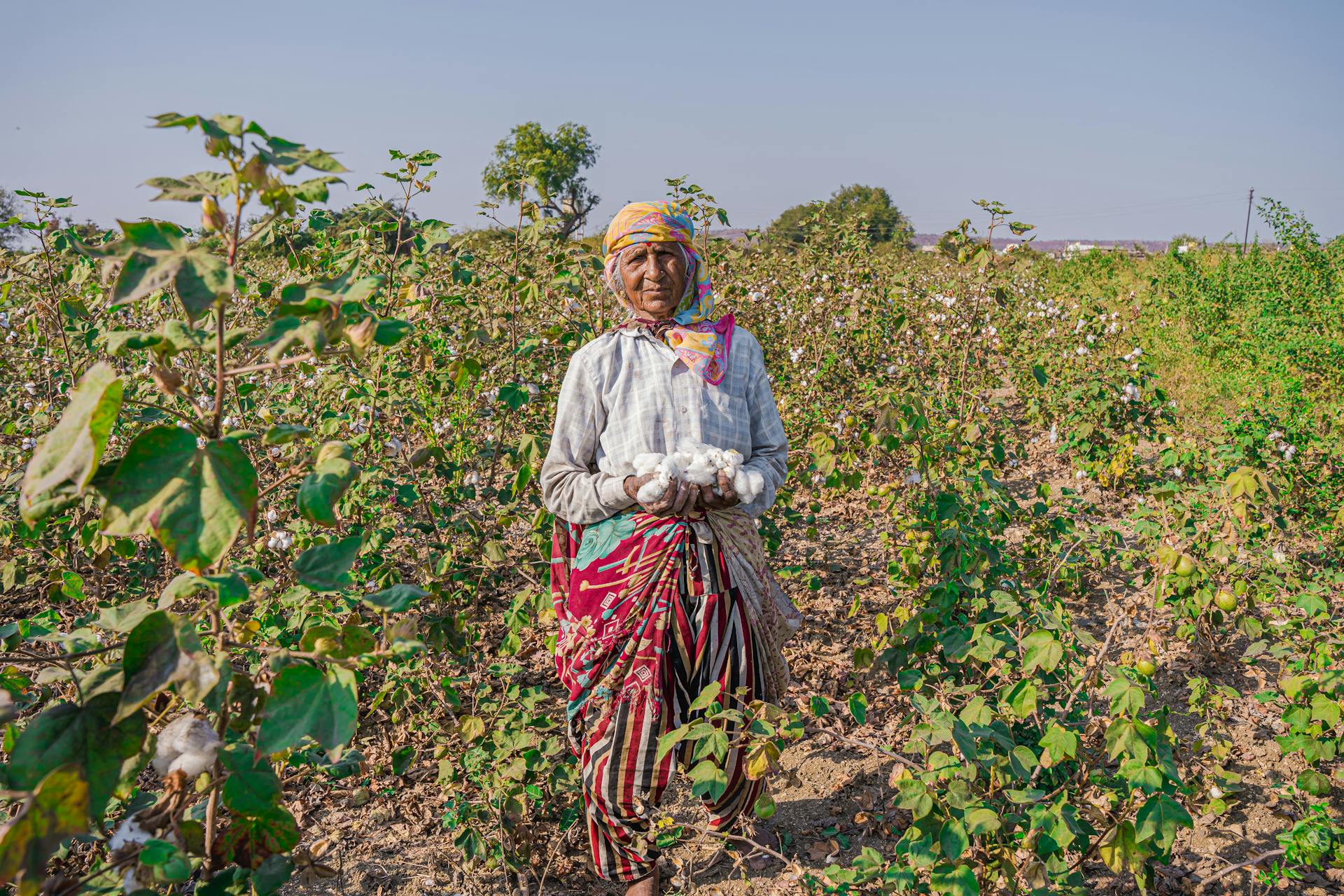 Women’s History Month and the NGOs empowering women