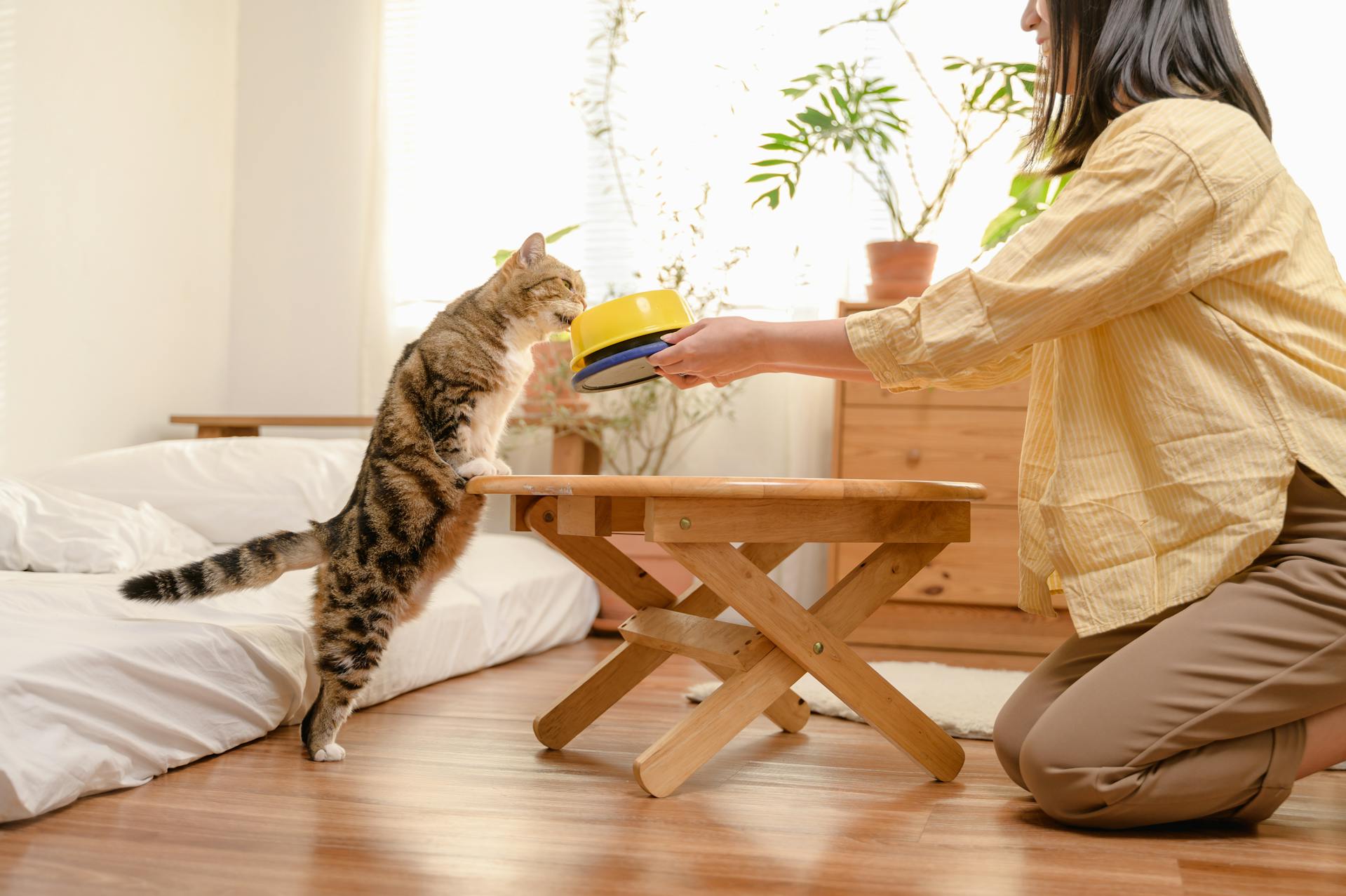 10 ways to love an animal