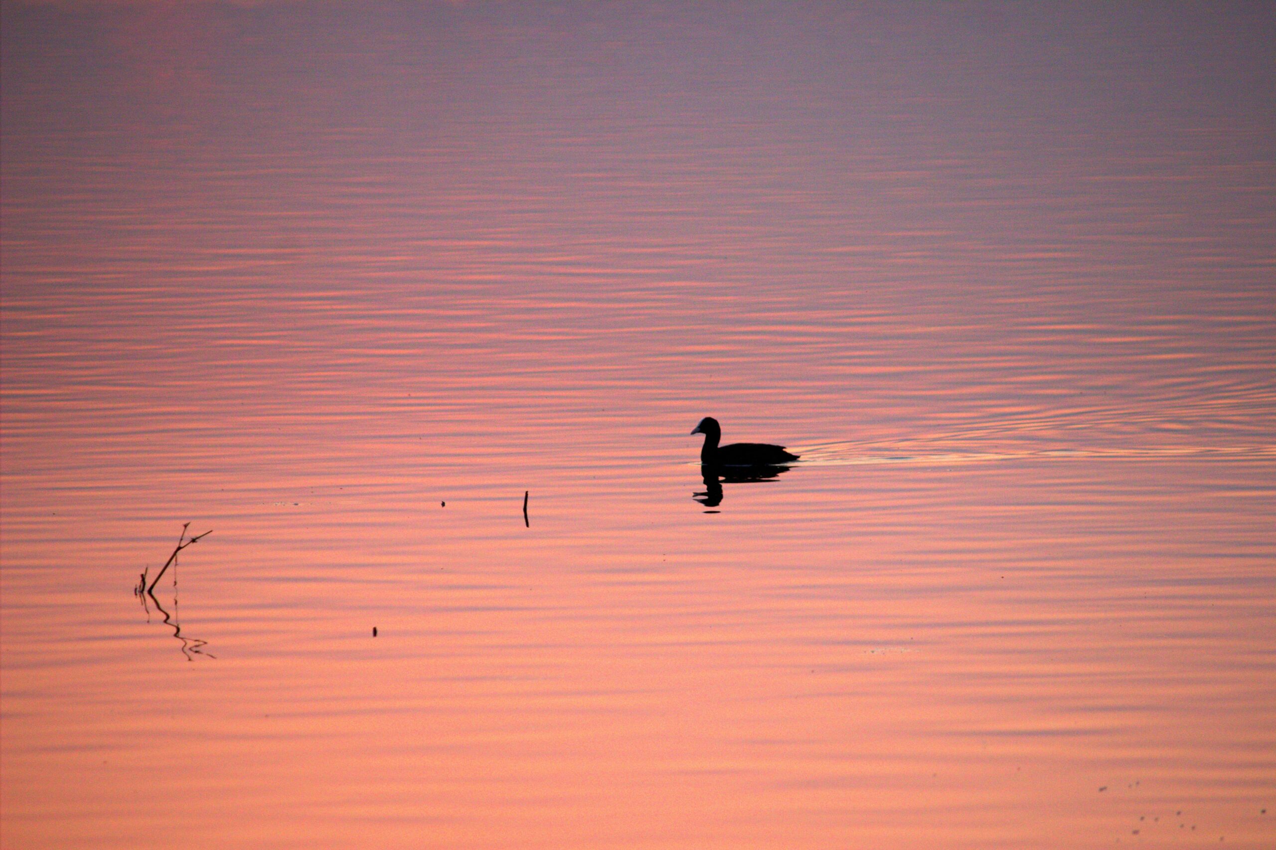 World Lake Day 2025: India’s Lake Warriors Bringing Water Back to Life