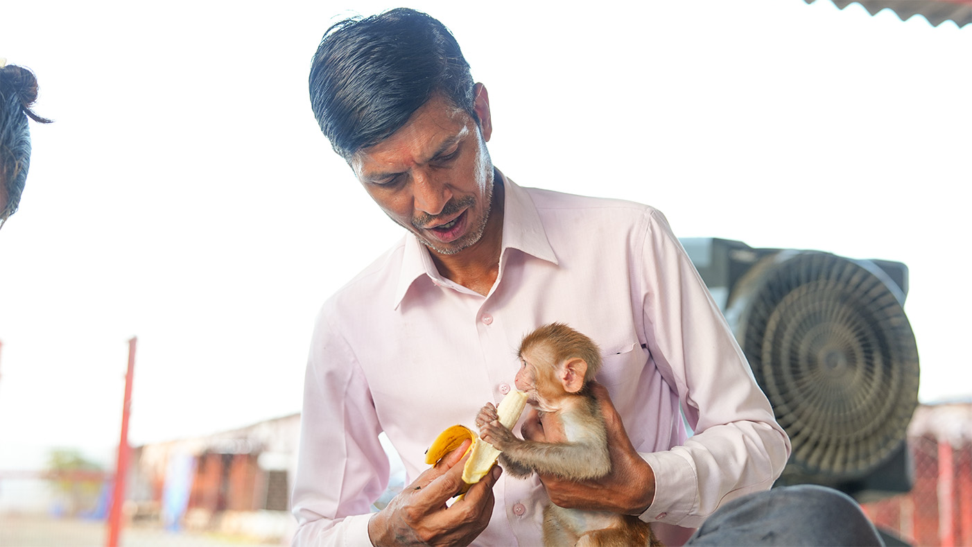 Guardian of Angels: A sanctuary of compassion for India’s forgotten animals