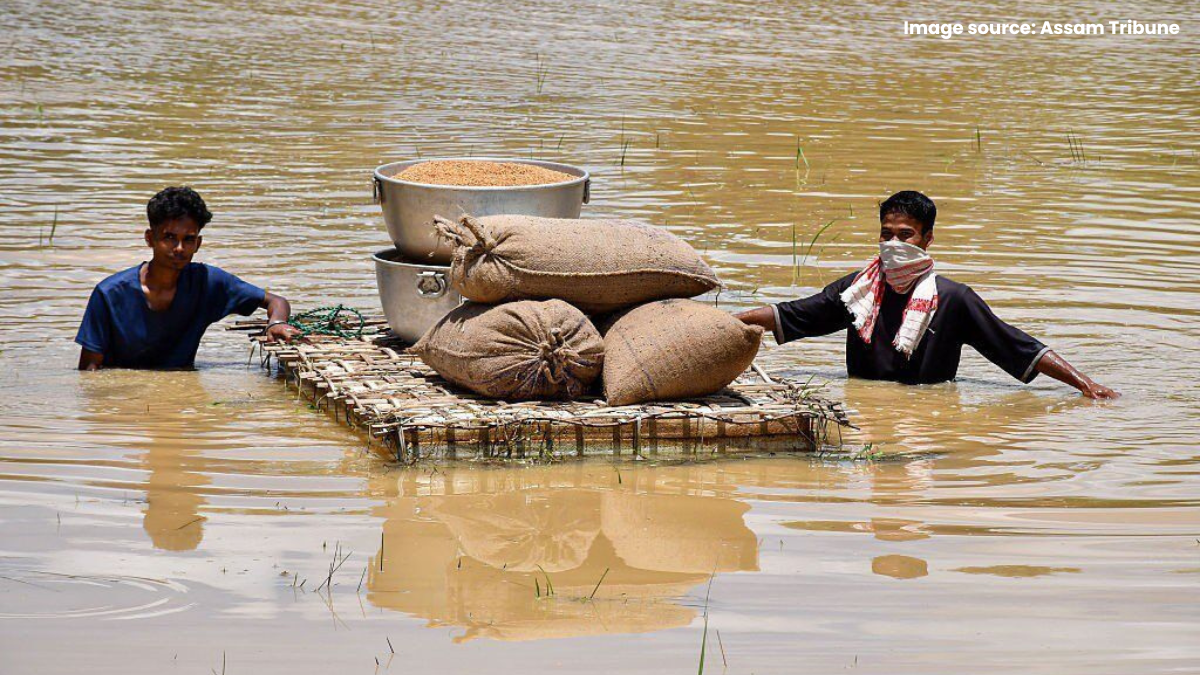 Assam Flood Relief: Why families in Assam are fighting for life and need help?