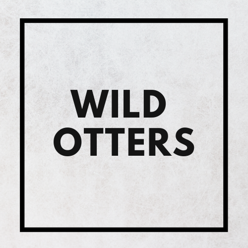 Wild Otters