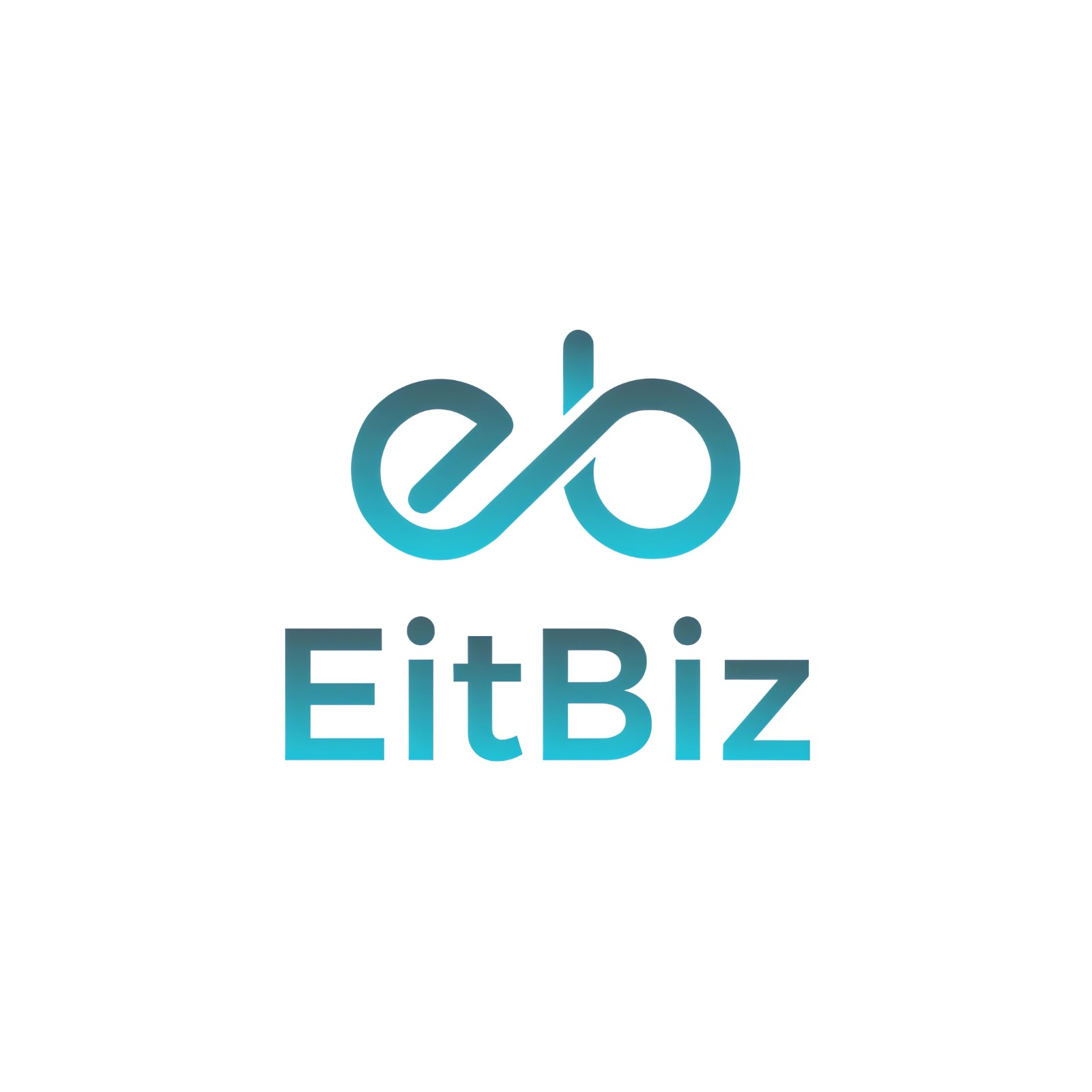 EitBiz - Software, Mobile App & Web Development Company