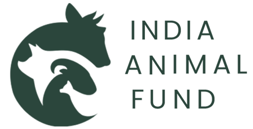 IAF India Animal Foundation