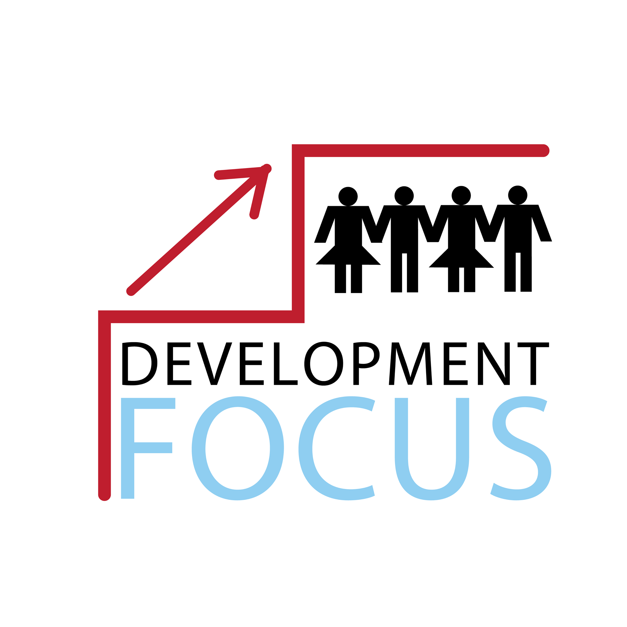 Development Focus logo