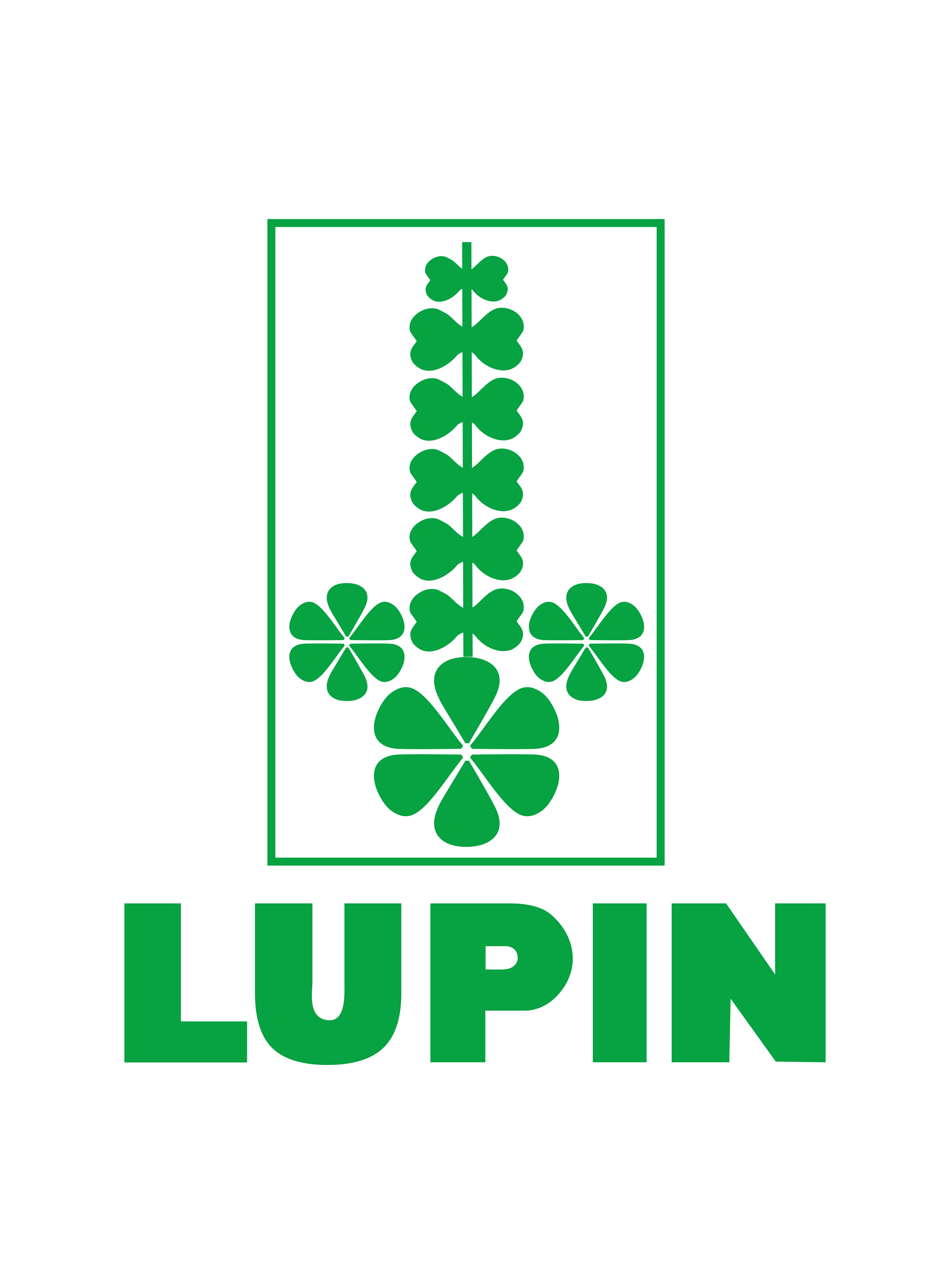 Lupin Limited logo