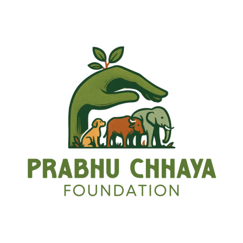 Prabhu Chhaya Foundation