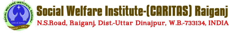 Social Welfare Institute