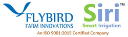 Flybird Innovations