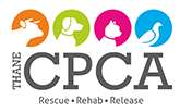 Thane Community for the Protection and Care of Animals (Thane CPCA)
