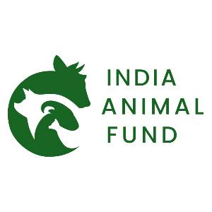 IAF India Animal Foundation logo